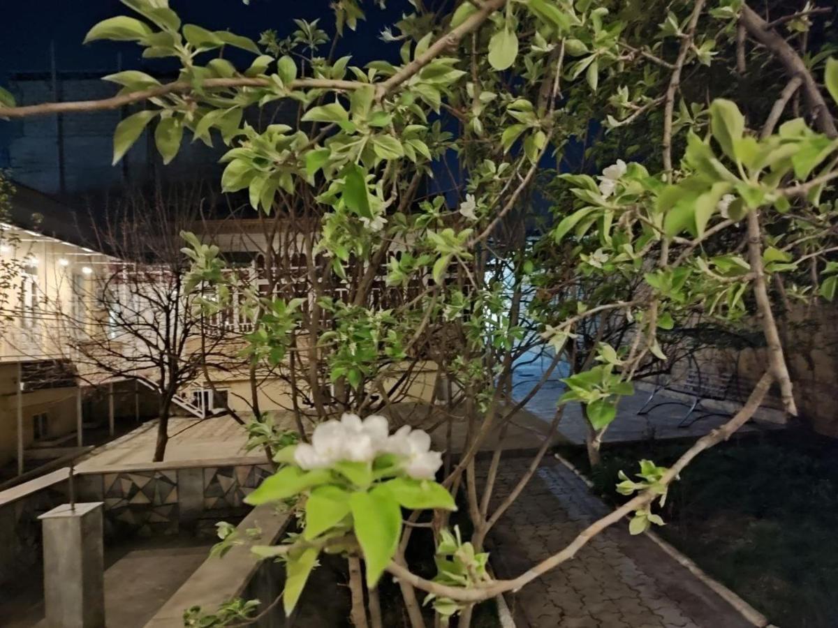 World Guest House Σαμαρκάνδη Εξωτερικό φωτογραφία